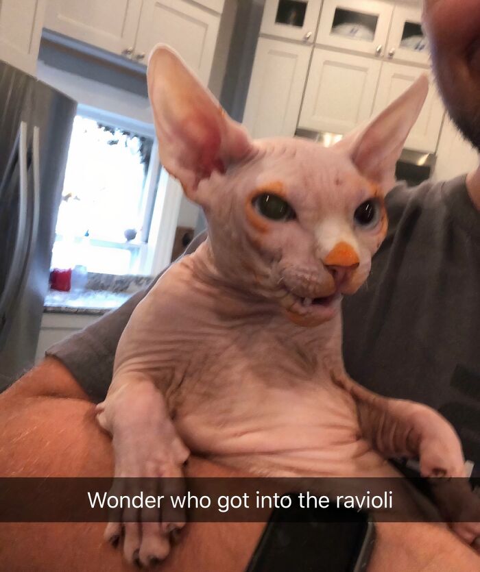 image-20260312002959-10