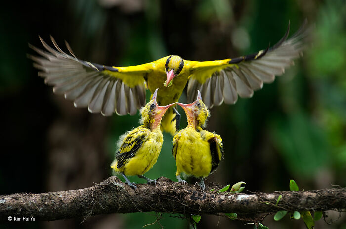 image-20260312181947-12