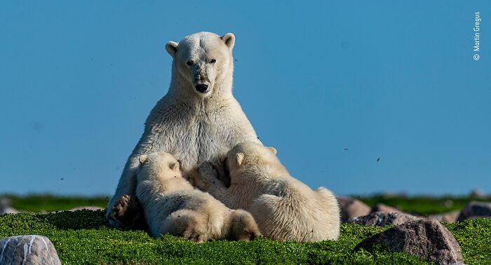 image-20260312182007-18