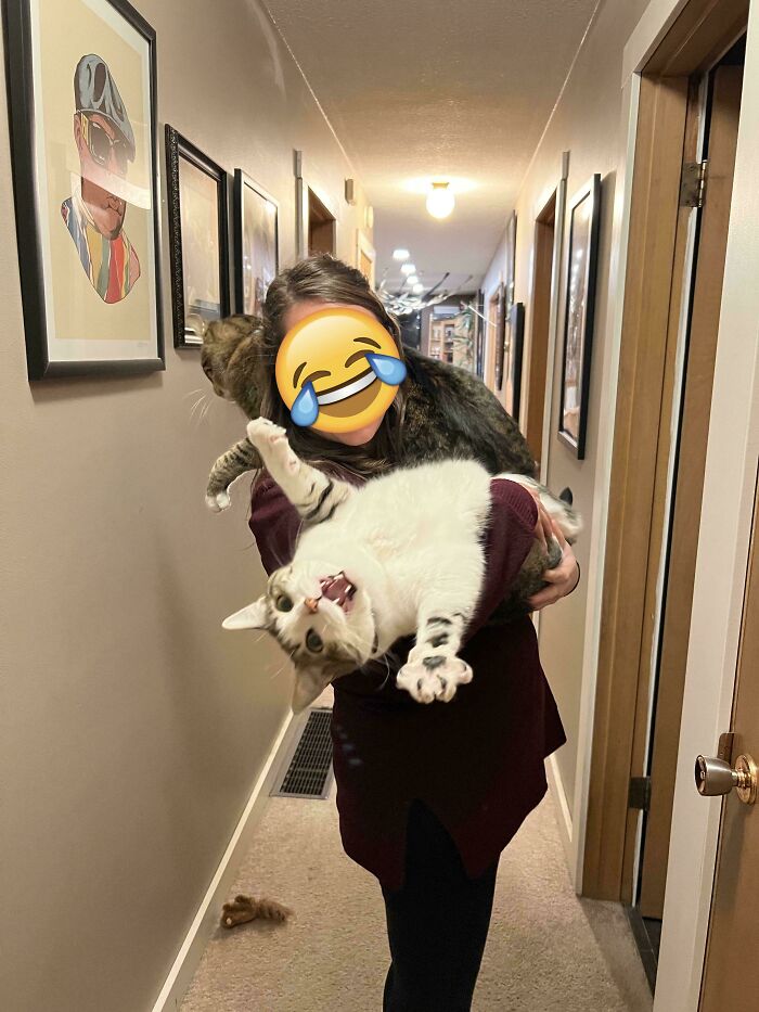 image-20260313125623-1