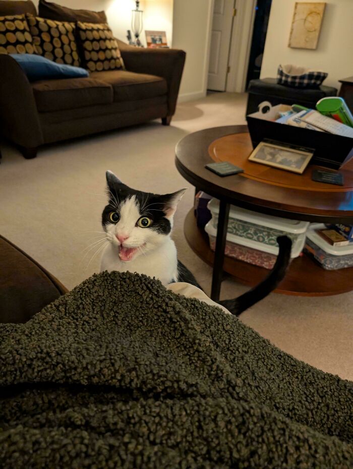 image-20260313125629-3