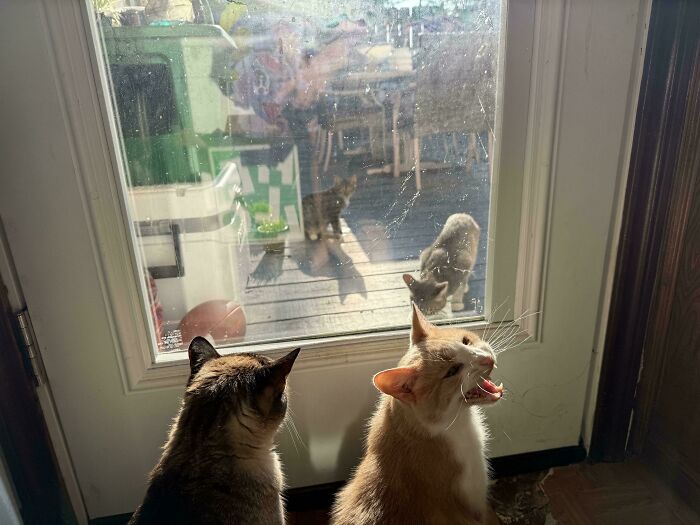 image-20260313125632-4