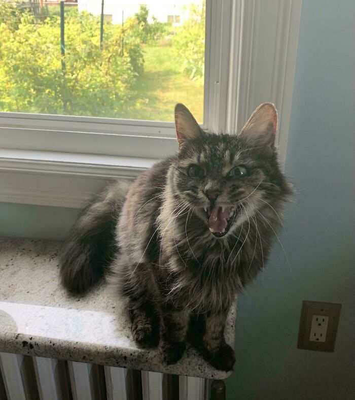 image-20260313125638-6