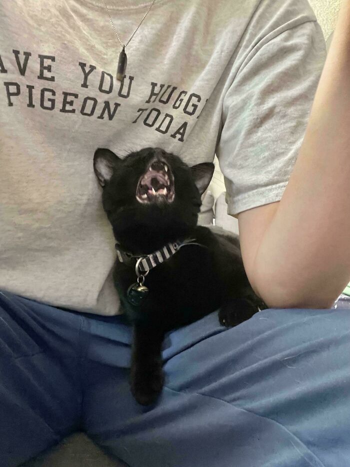 image-20260313125640-7