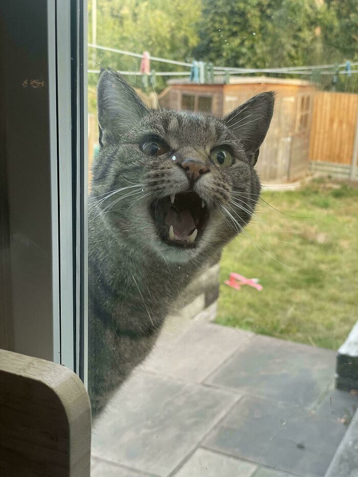 image-20260313125650-10