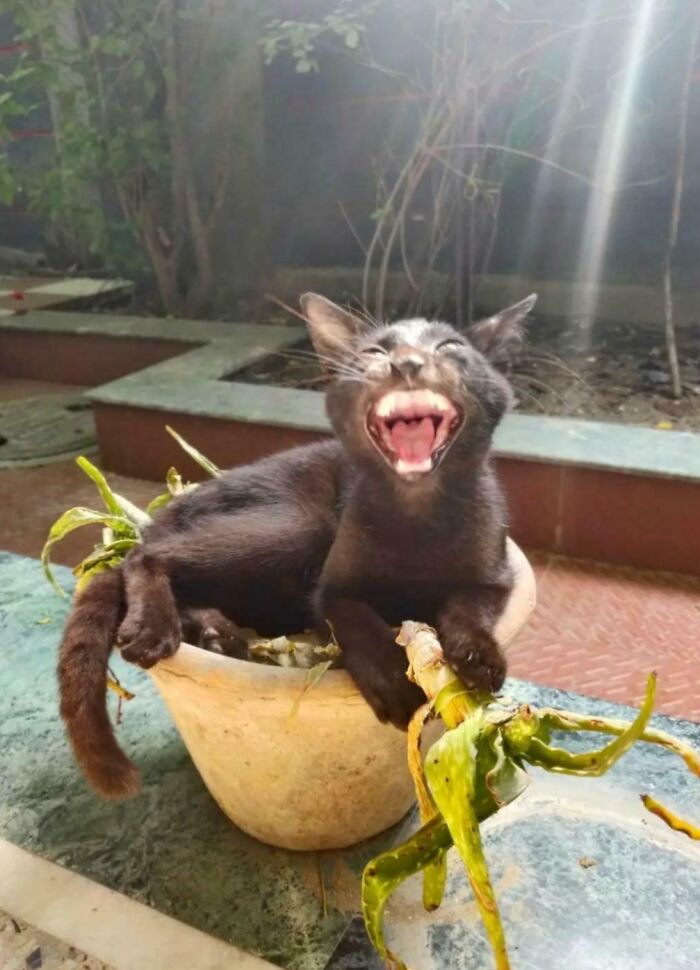 image-20260313125652-11