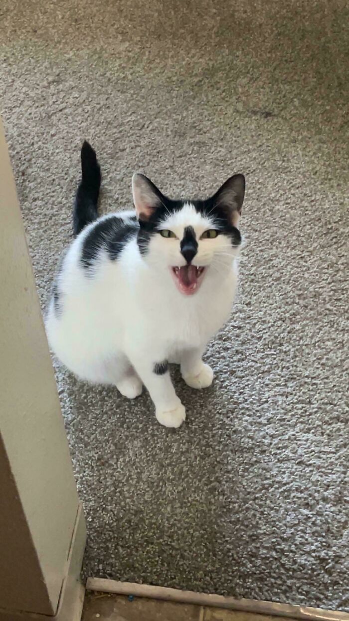 image-20260313125659-13