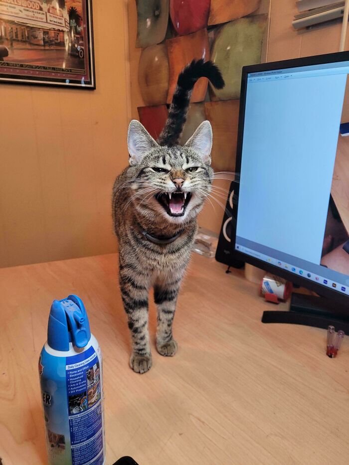 image-20260313125703-14