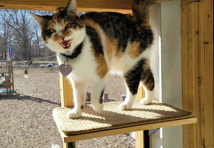 image-20260313125707-15