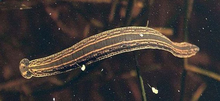 image-20260313140225-10