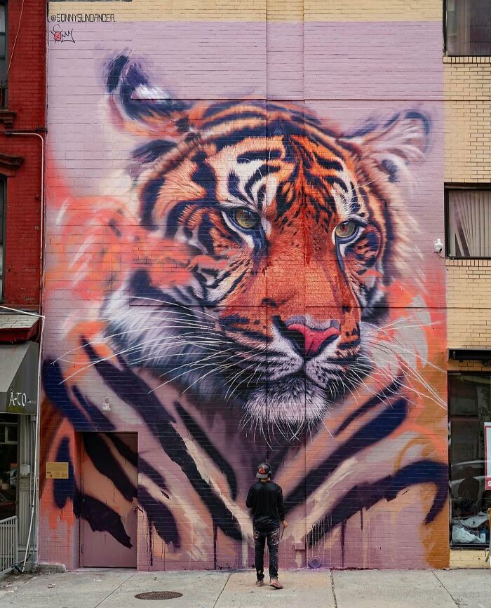 image-20260316165329-12