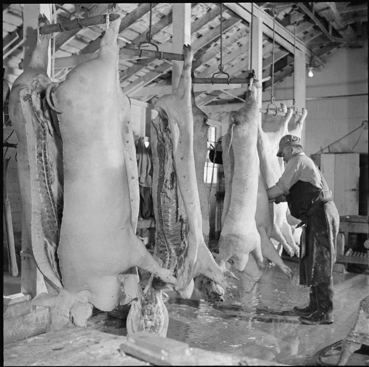 image-20260316172830-1