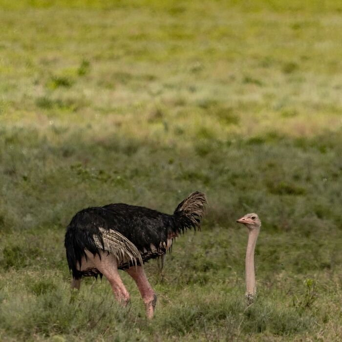 image-20260316233328-8