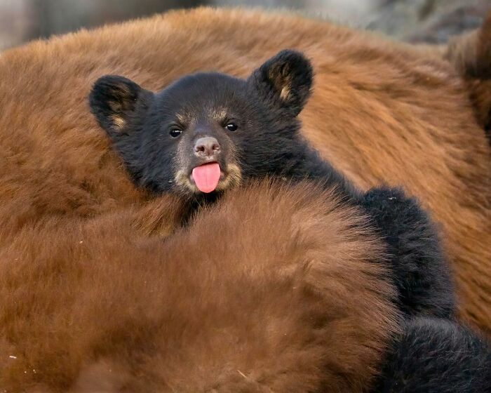 image-20260316233332-9