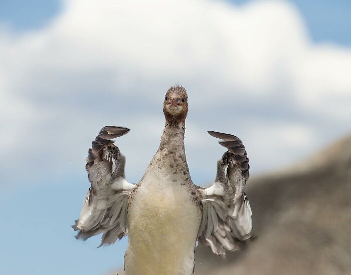 image-20260316233335-10