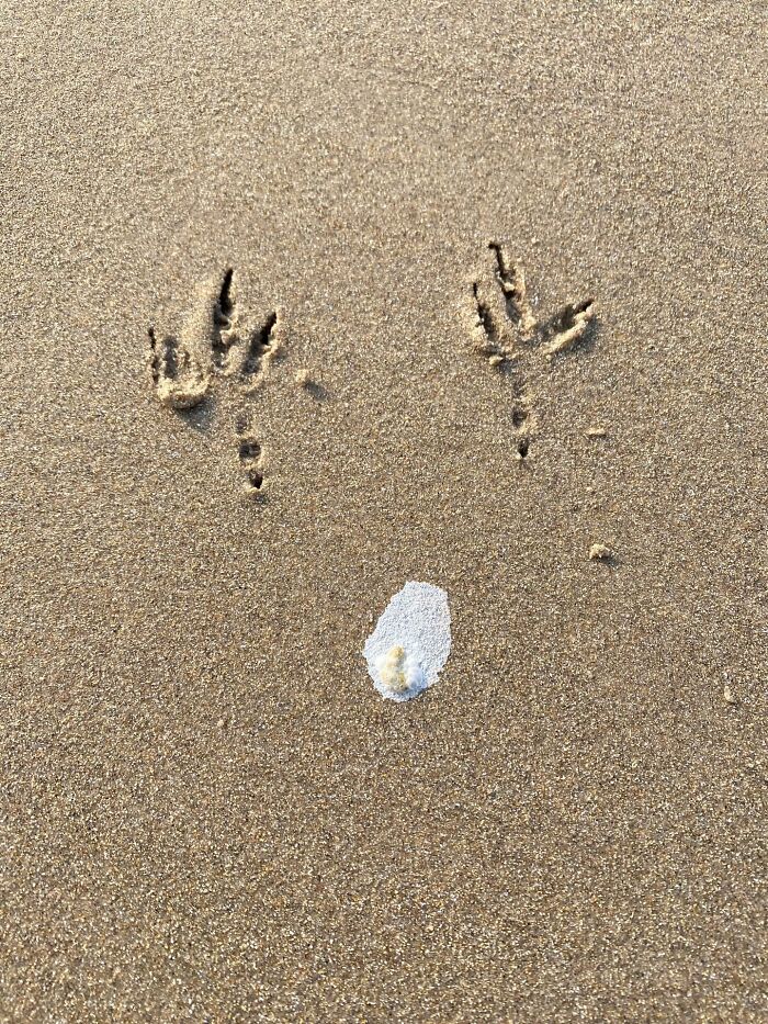 image-20260316233338-11