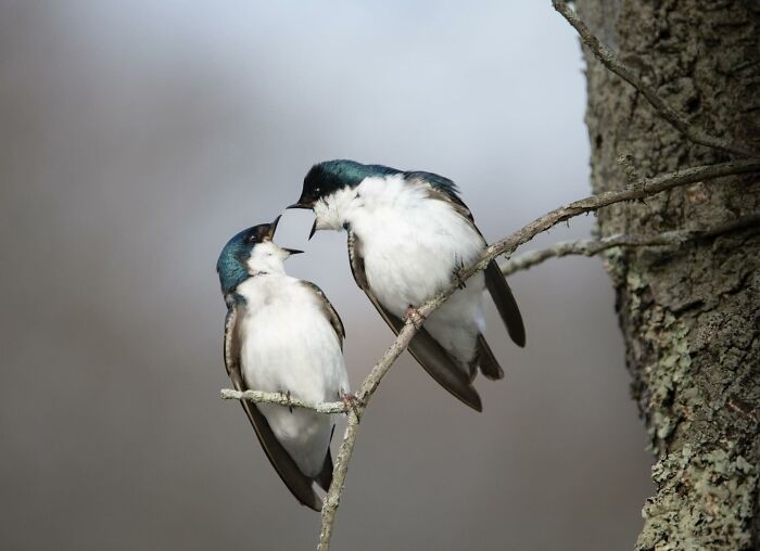 image-20260316233342-12