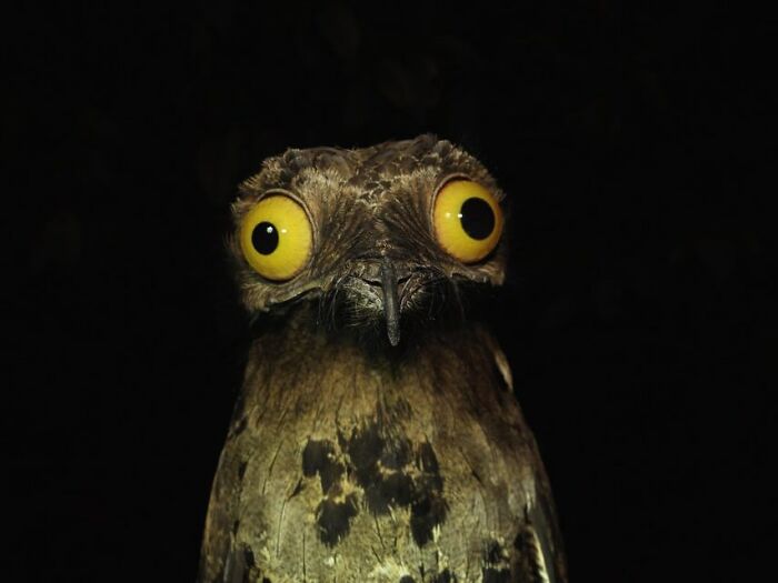 image-20260316233359-16