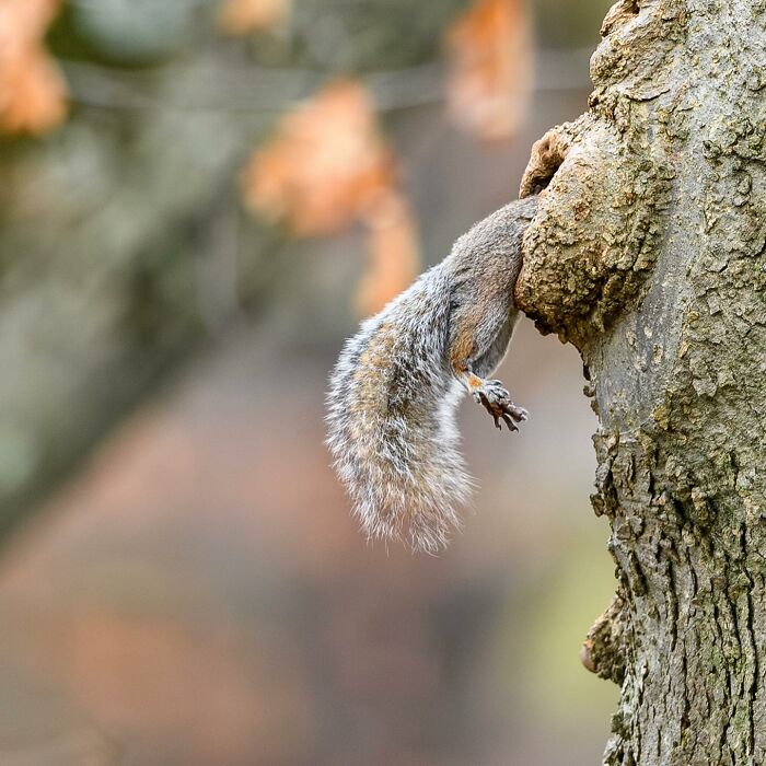 image-20260316233415-19