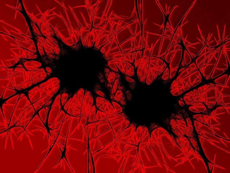 image-20260317152520-4