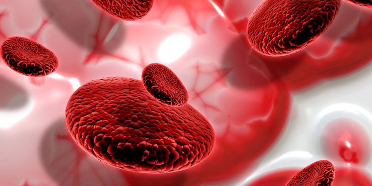 image-20260317152524-5