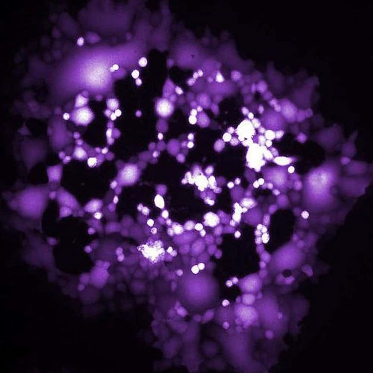 image-20260317152543-11