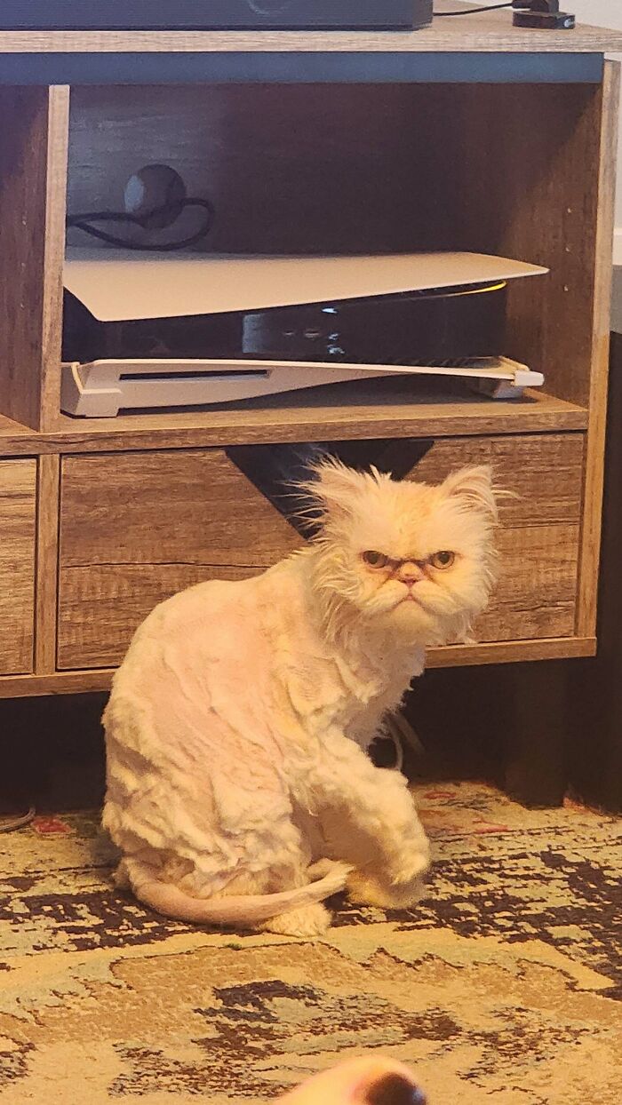 image-20260318143823-4