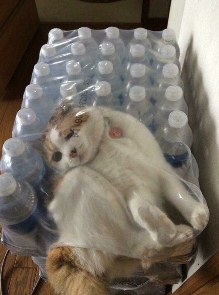 image-20260318143844-9