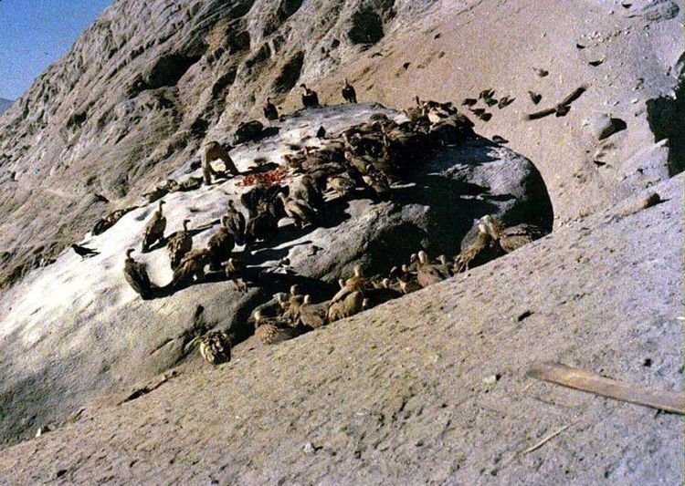 image-20260318152413-5