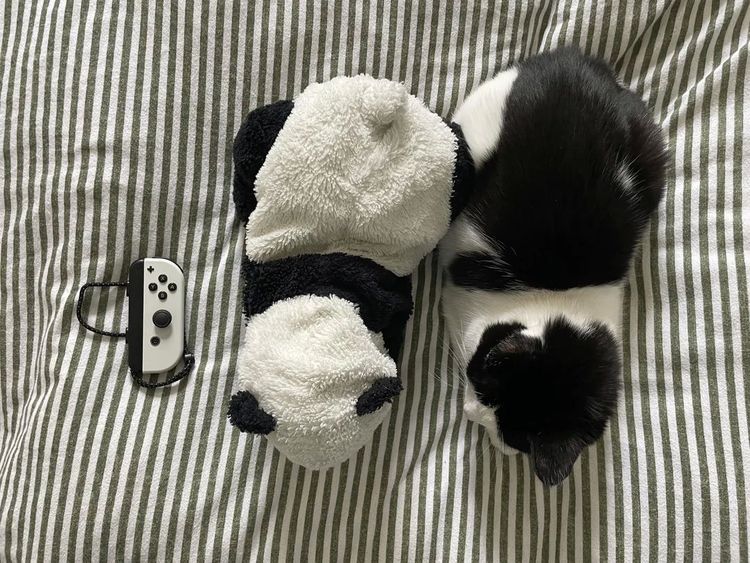 image-20260319155137-8