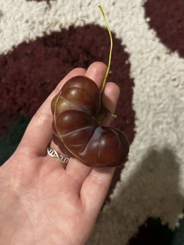 image-20260319155150-12