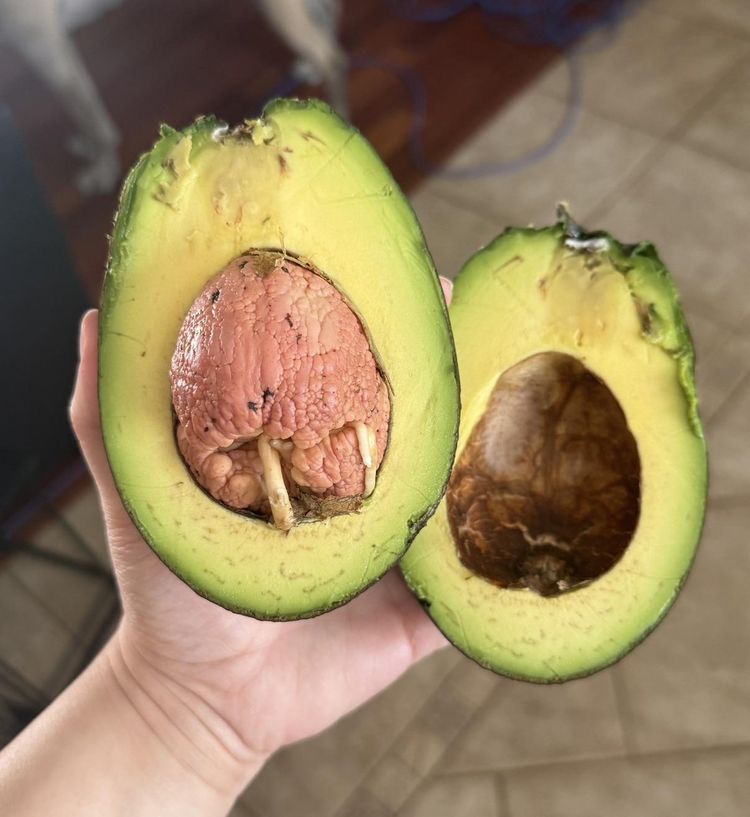 image-20260319155153-13