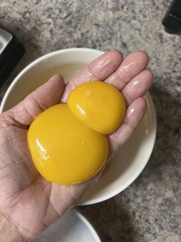 image-20260319155159-15