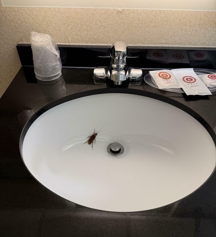 image-20260319234555-9