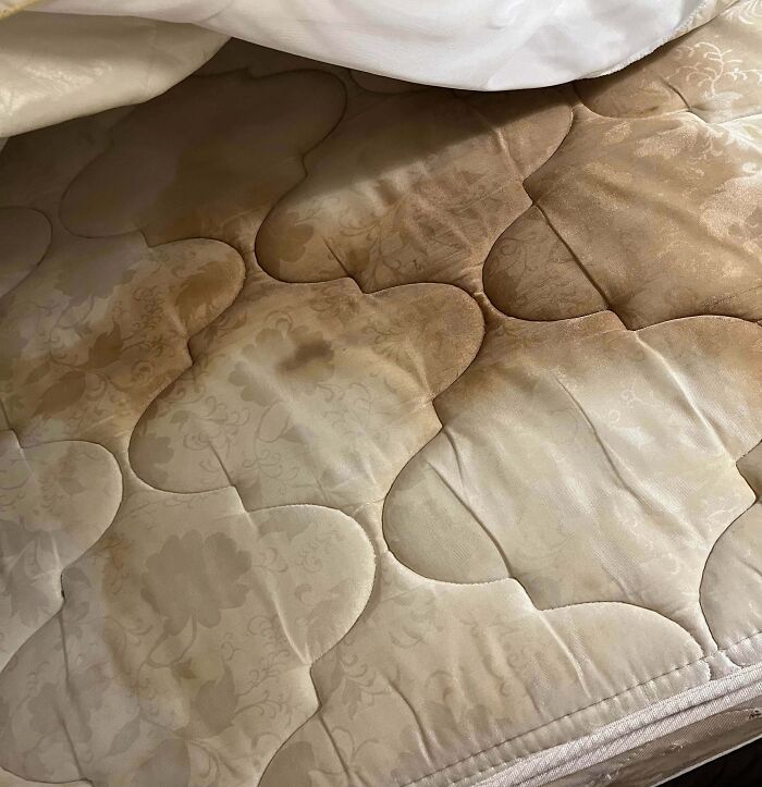 image-20260319234621-17