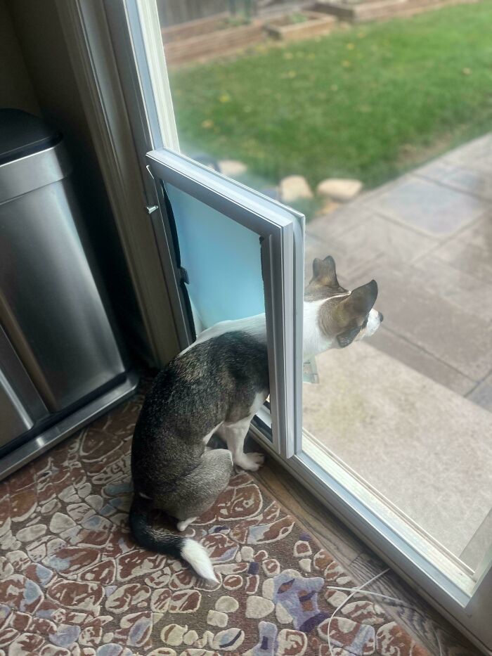 image-20260324110659-7