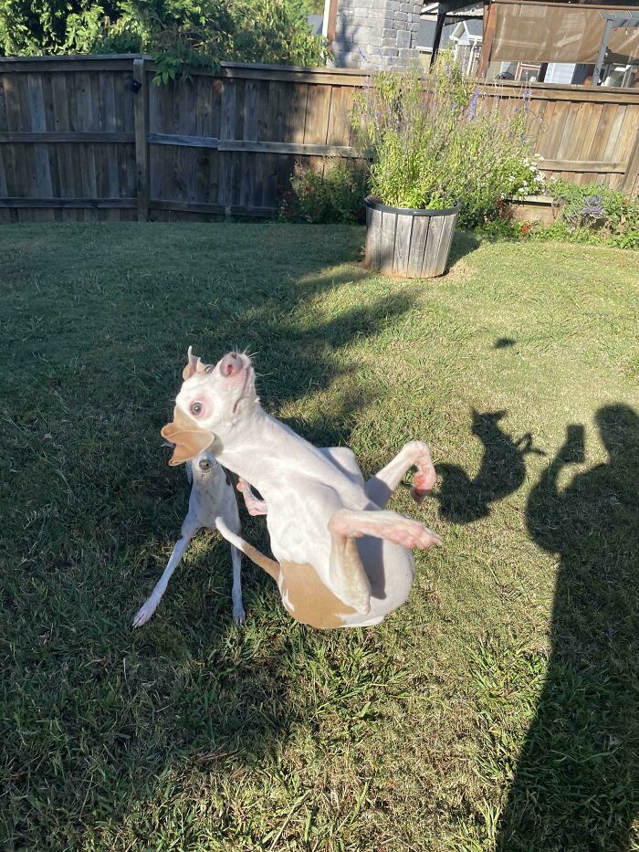 image-20260324110720-14