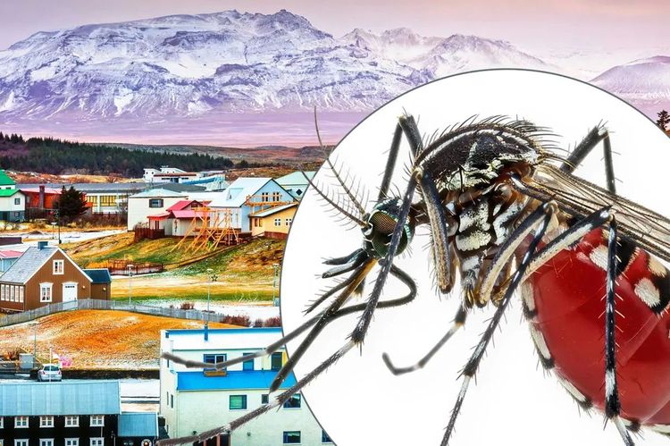 image-20260325144652-13