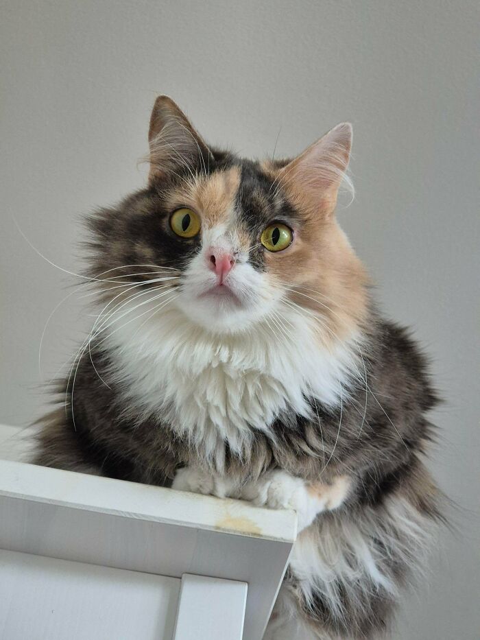 image-20260325171804-3