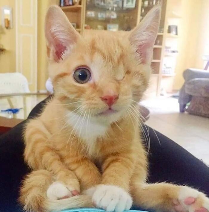 image-20260325171854-7