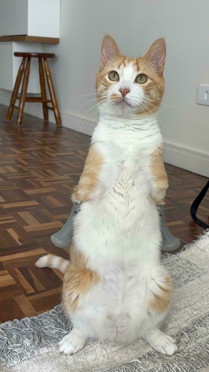 image-20260325171857-8