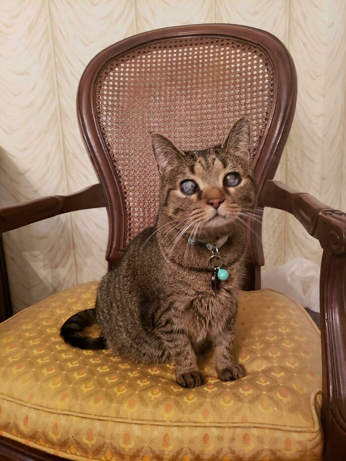 image-20260325171906-11