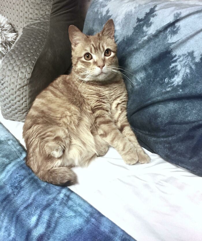 image-20260325171910-12