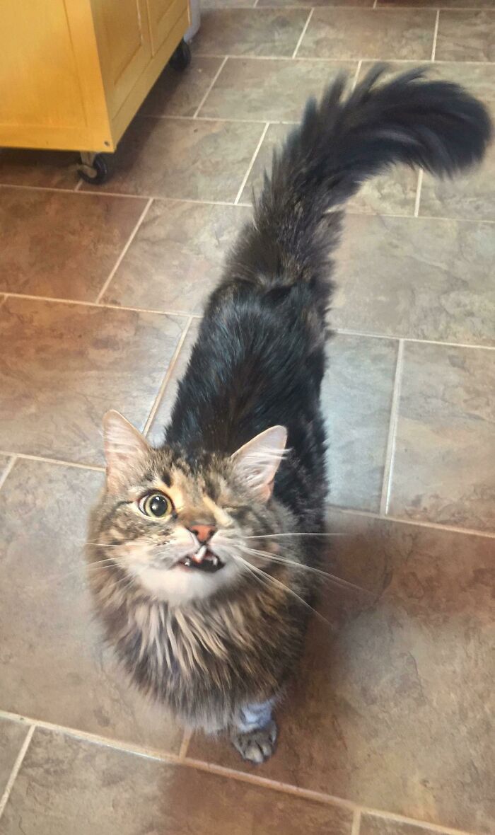 image-20260325171914-13