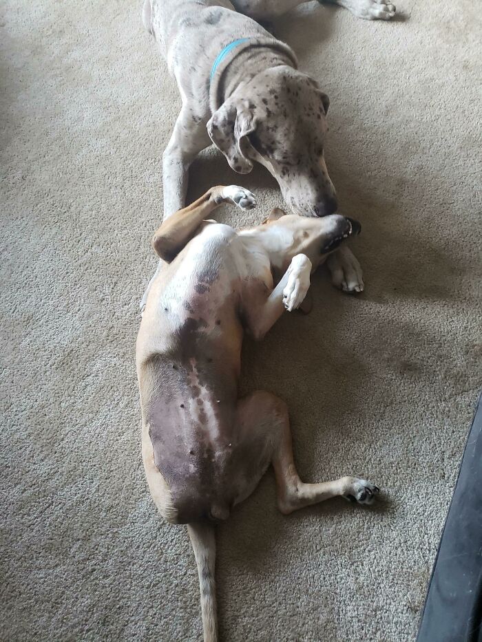 image-20260325171917-14