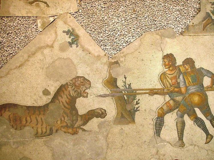 image-20260326143023-3