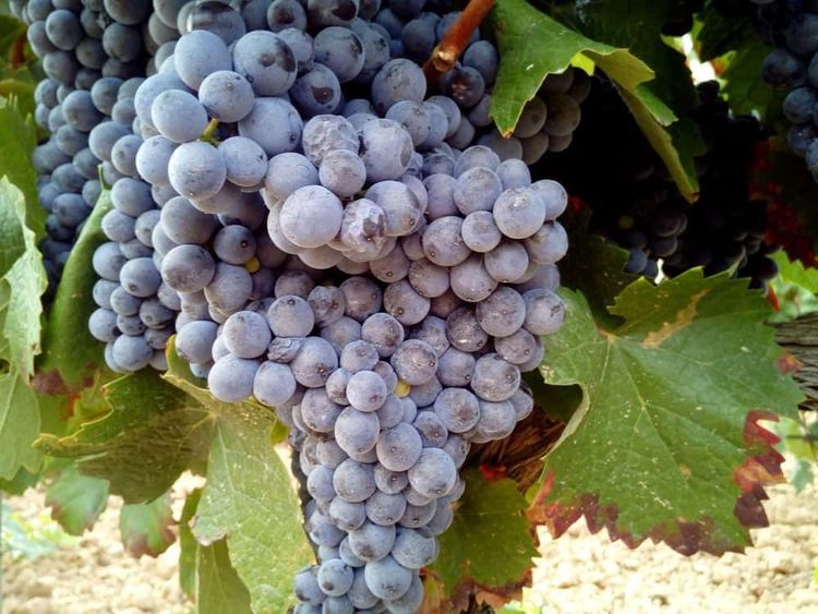 image-20260330173020-3