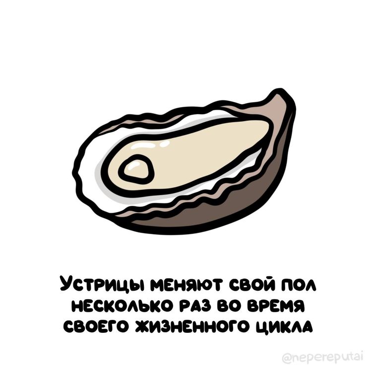 image-20260331131942-10