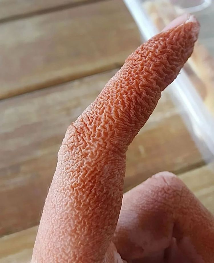 image-20260331153703-11