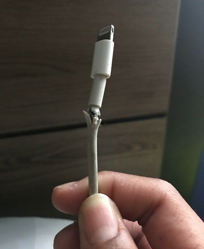 image-20260331160602-13